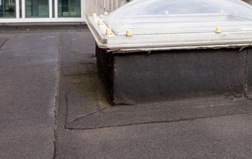 disadvantages of Sandown flat roofs